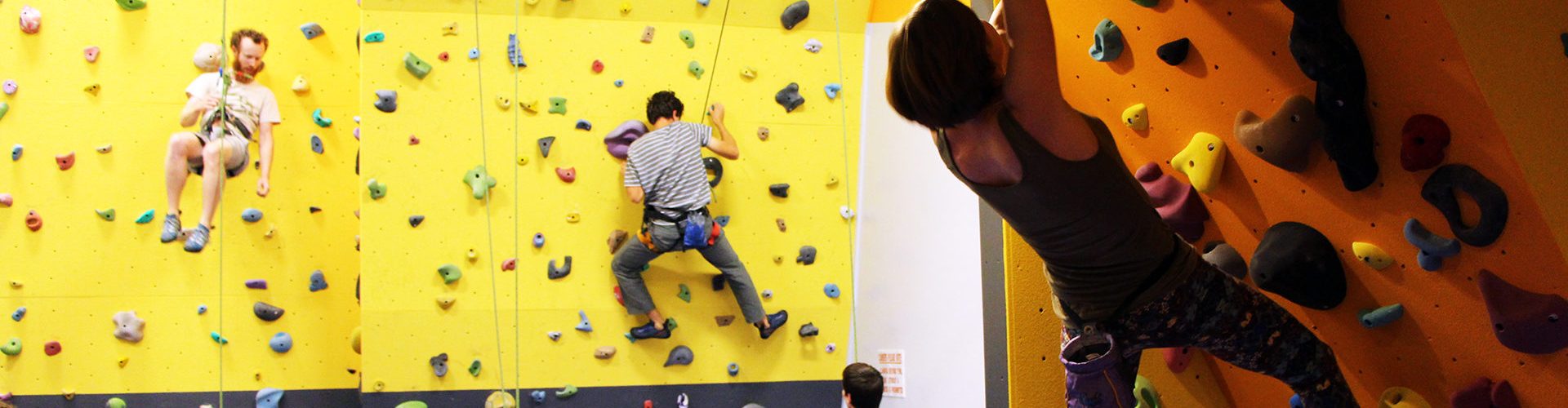 UNE Climbing Wall